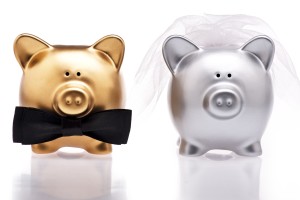 Marriage Concept Two Cute Pigs