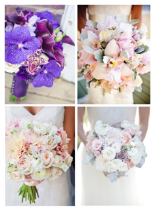 orchid_oeillets