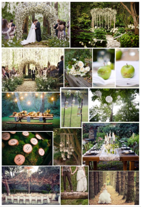 twilight_inspiration_fleurs